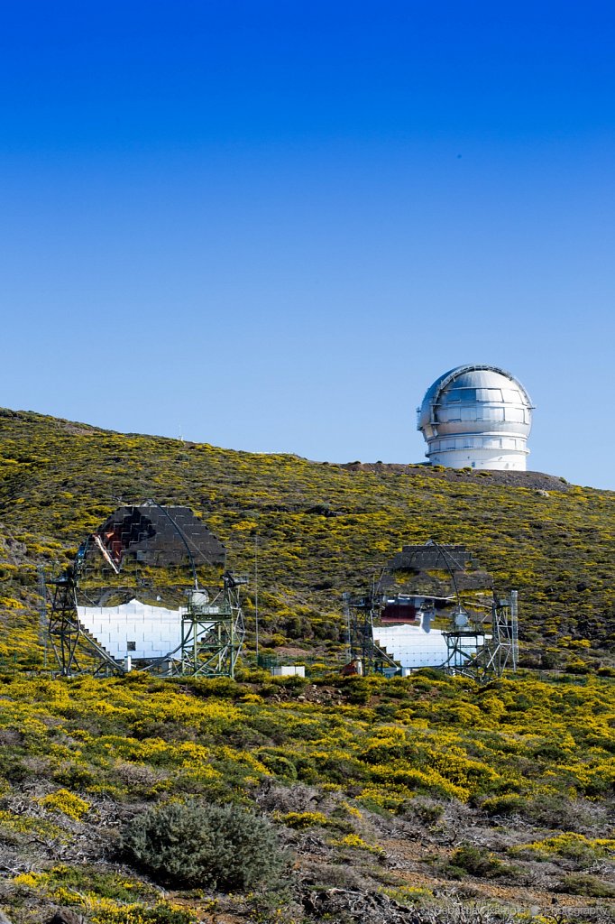 The magic Telescopes of Roque